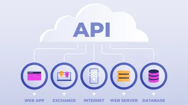 API de SMS en México: Cómo funciona, costos y mejores proveedores para empresas