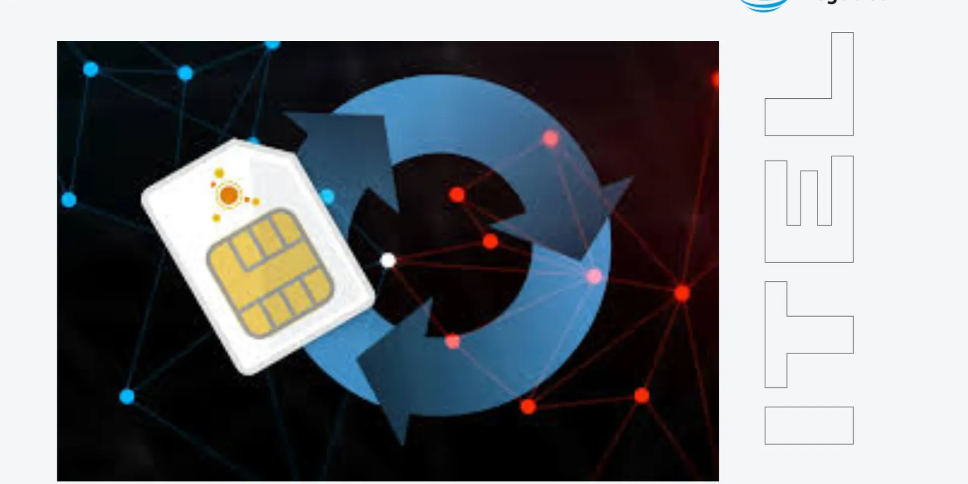 Portabilidad Móvil en España Agosto 2025: Un Mercado en Equilibrio