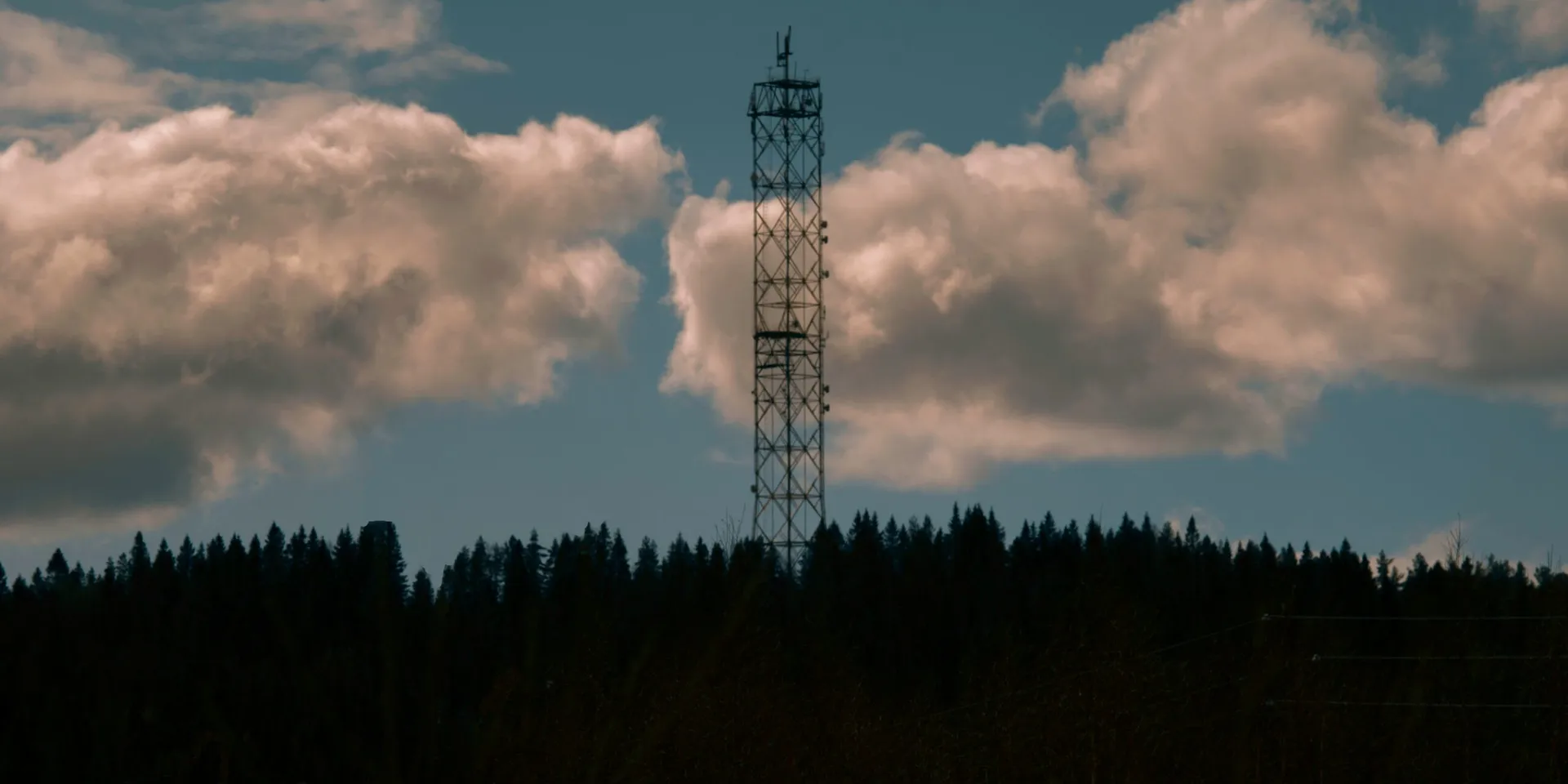 Zadarma y Megacall: La Evolución de la Telefonía en la Nube en Europa