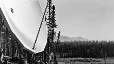 Innovación en Conectividad: La Convergencia de Redes Satelitales y 5G Terrestre