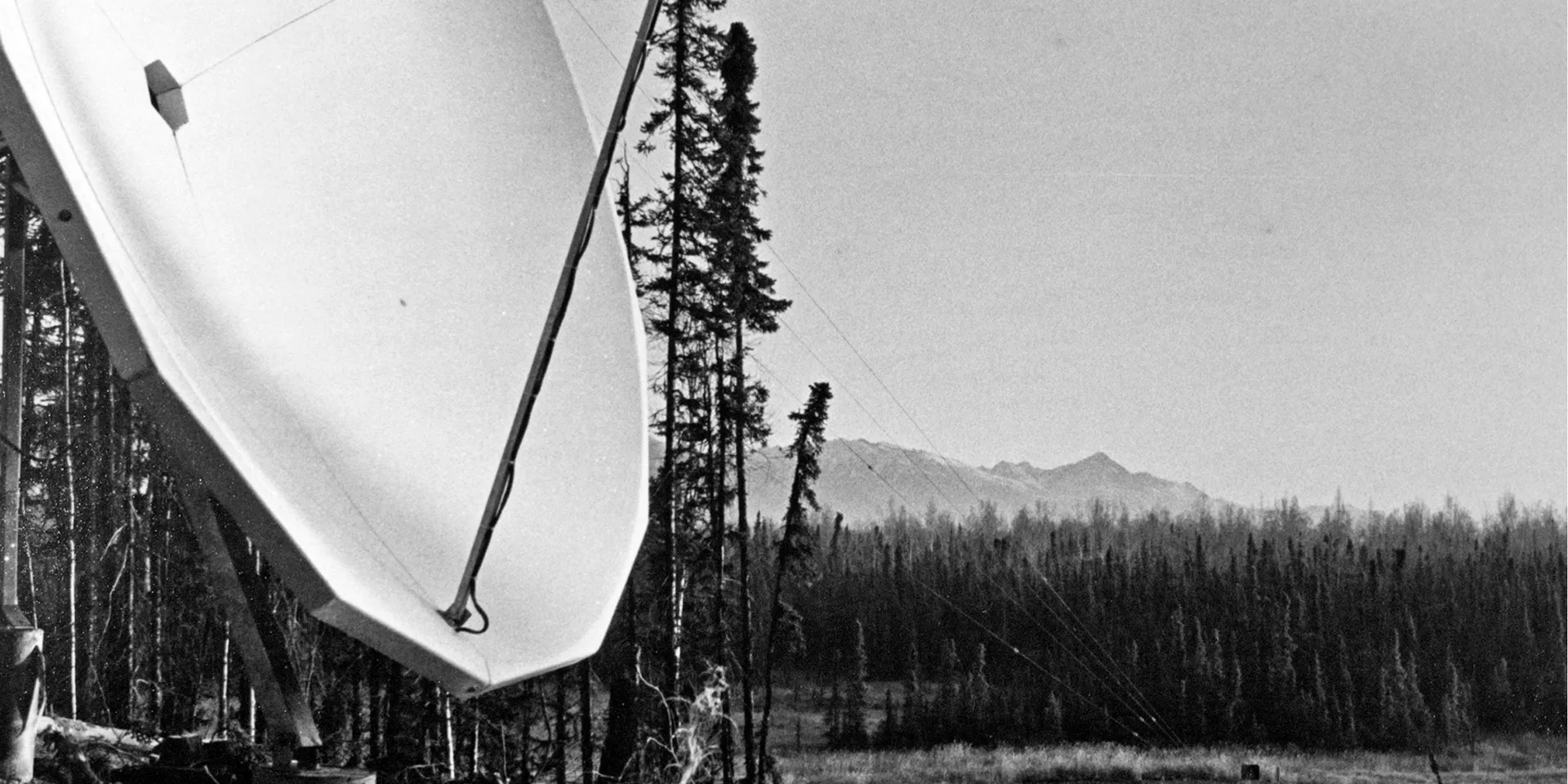 Innovación en Conectividad: La Convergencia de Redes Satelitales y 5G Terrestre