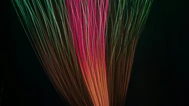 El Canon: La Clave Oculta que Moldea las Telecomunicaciones Globales